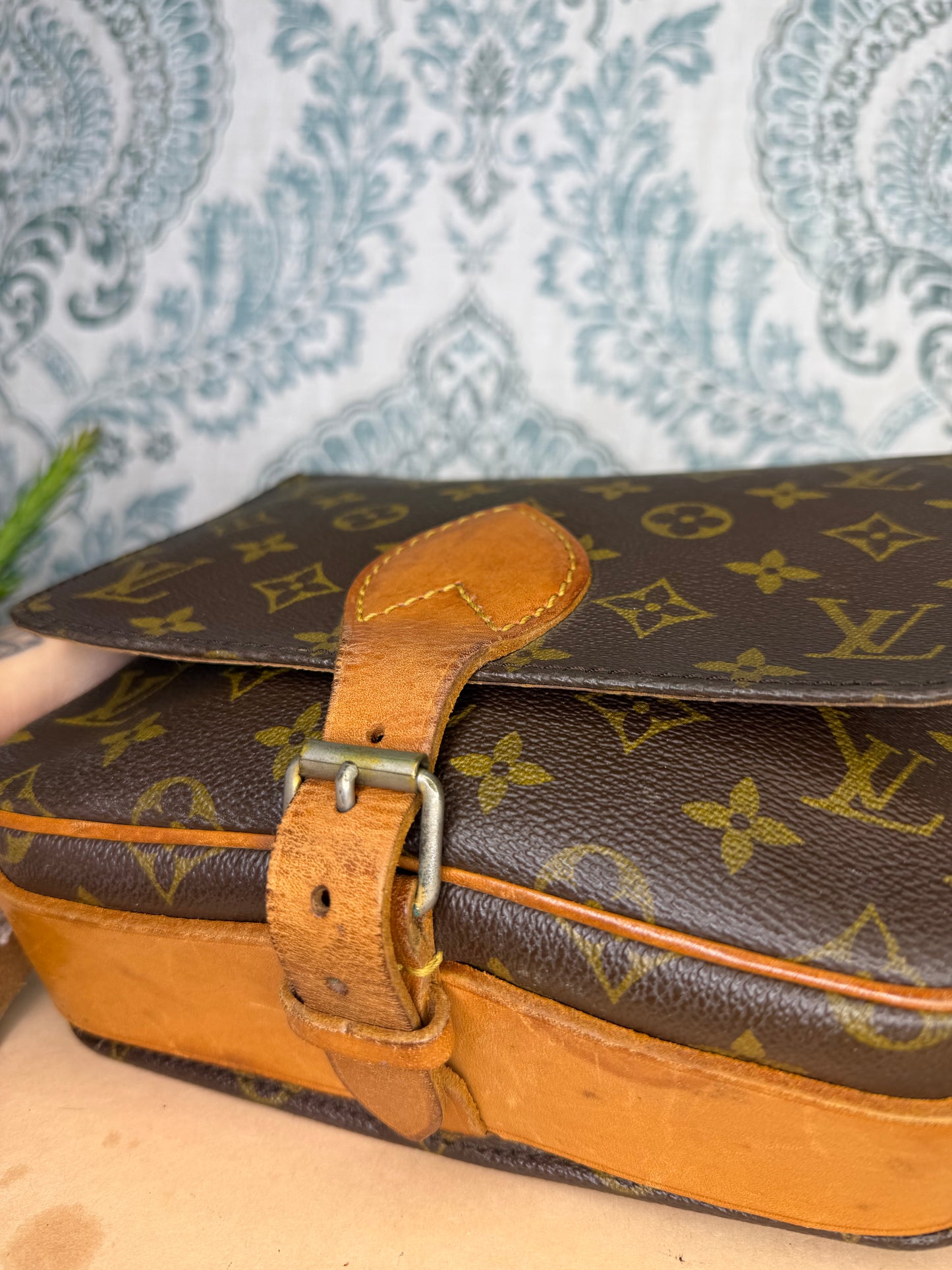 Louis Vuitton Cartouchiere MM