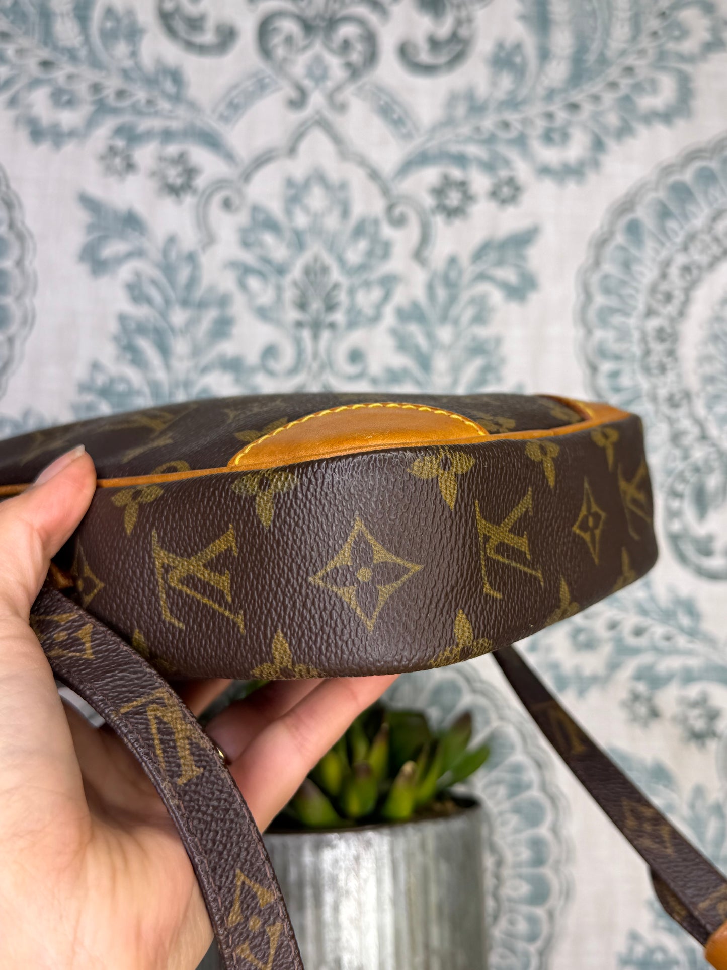 Louis Vuitton Danube PM #1