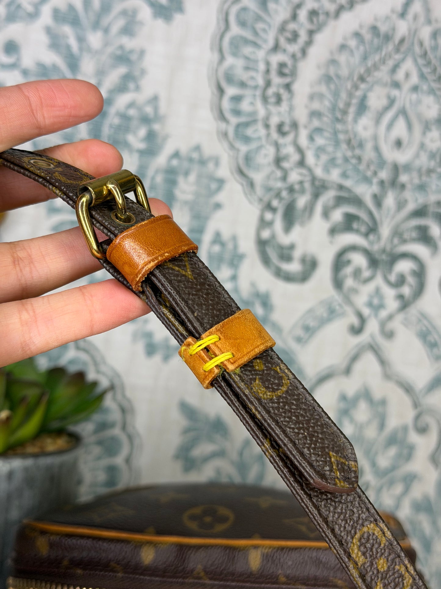 Louis Vuitton Amazon PM #2