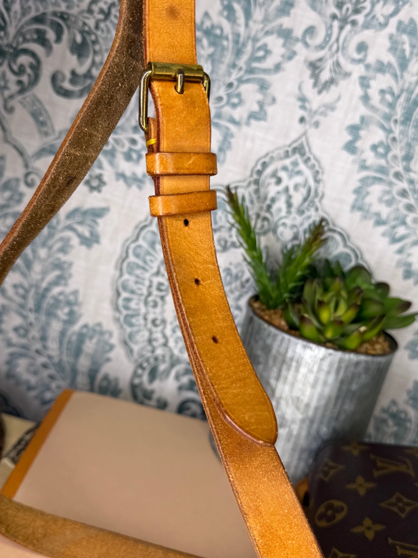 Louis Vuitton Cartouchiere MM