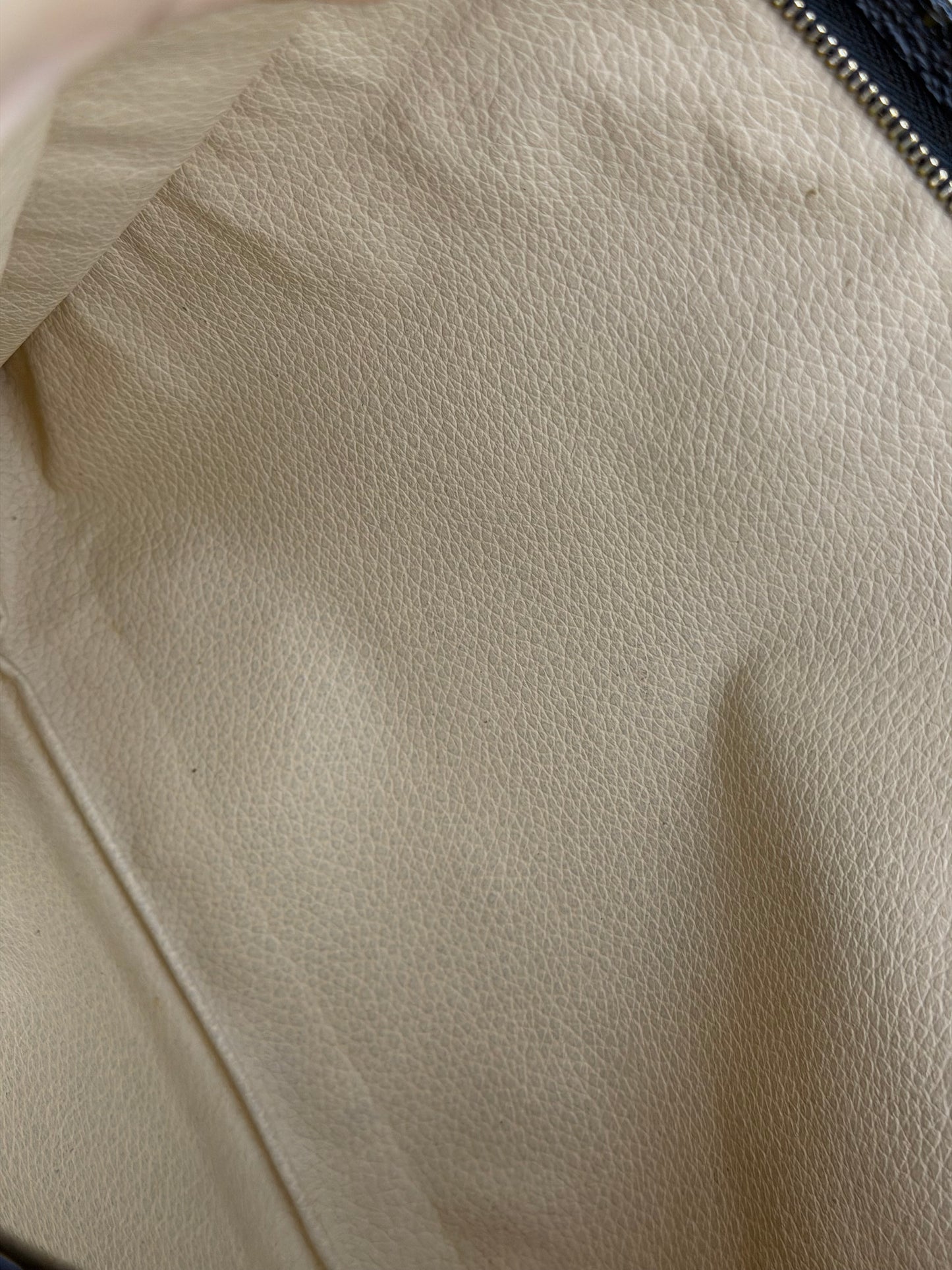 Louis Vuitton Monogram Toiletry 26