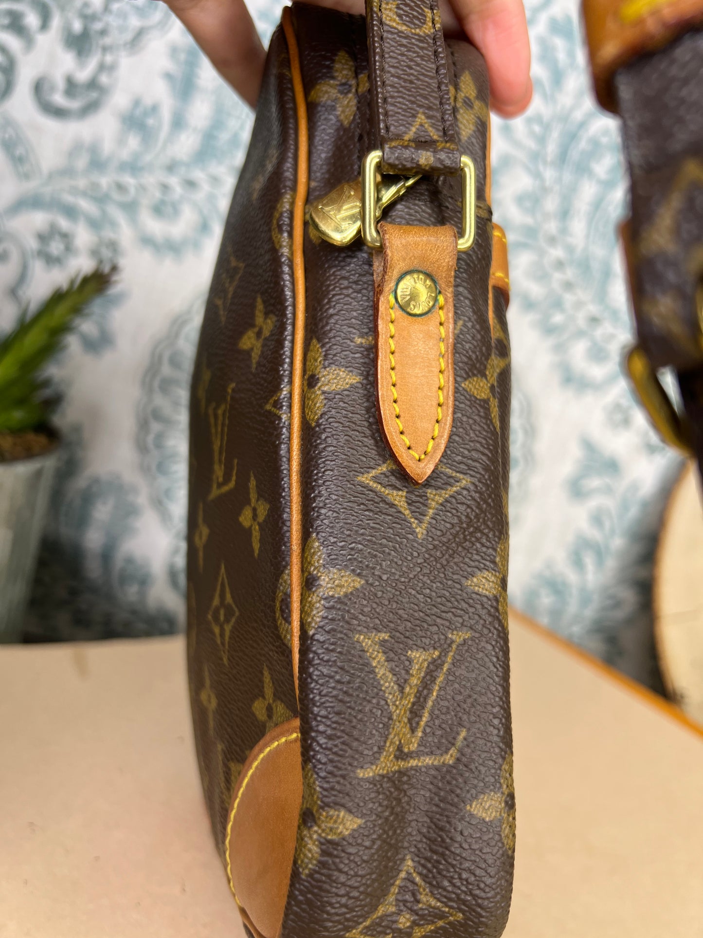 Louis Vuitton Danube PM #1