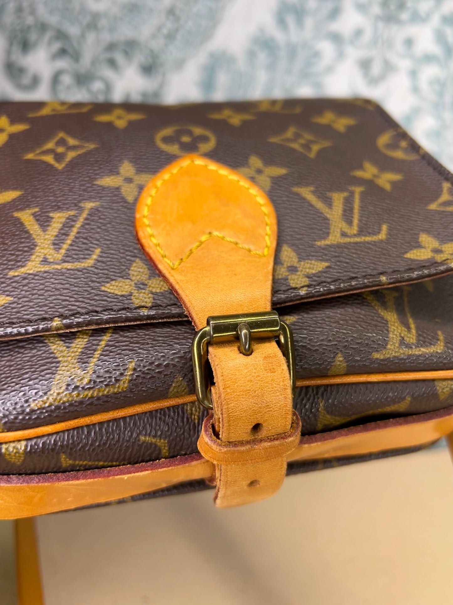 Louis Vuitton Cartouchiere PM