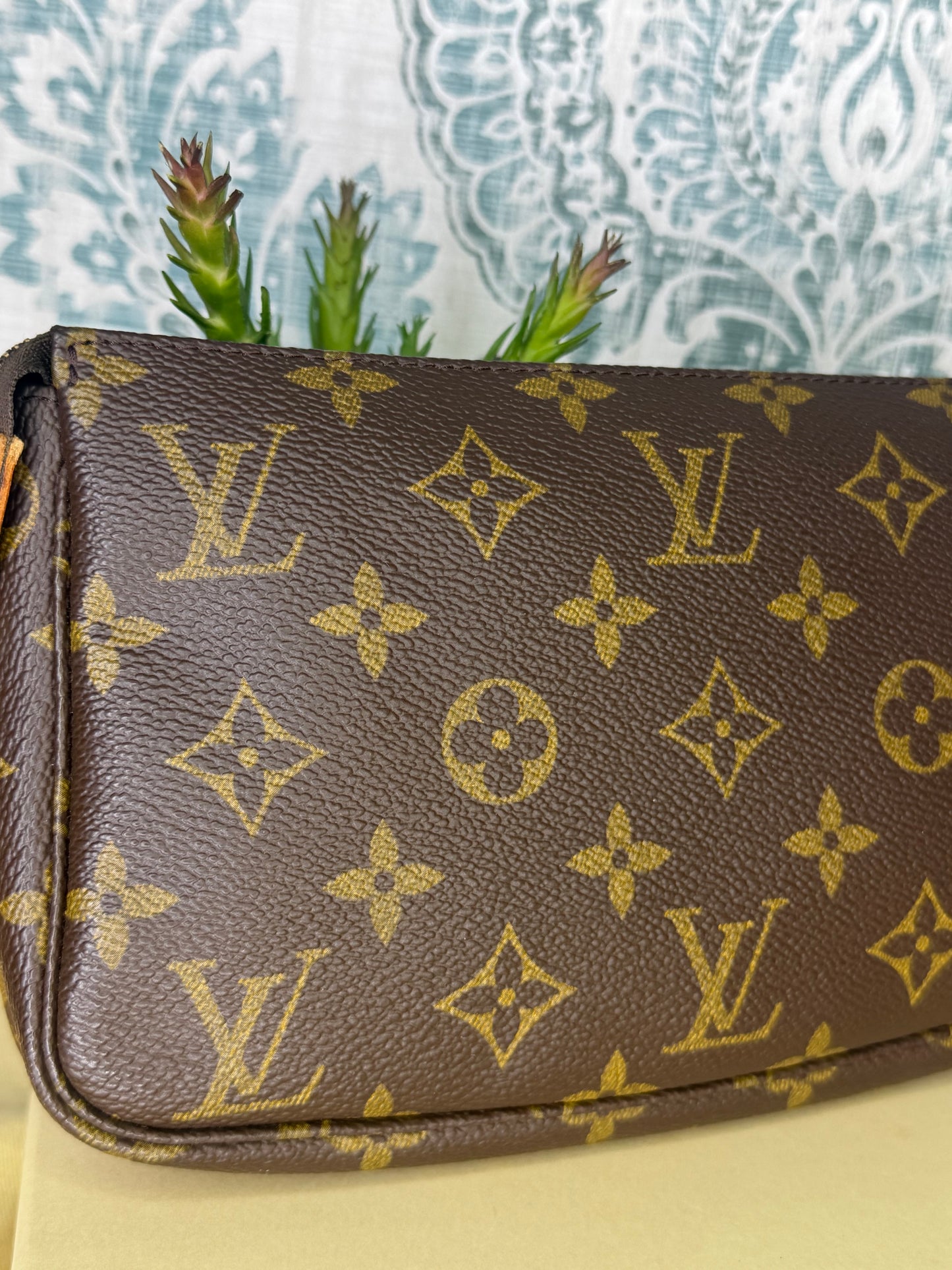 Louis Vuitton Pochette Accessories