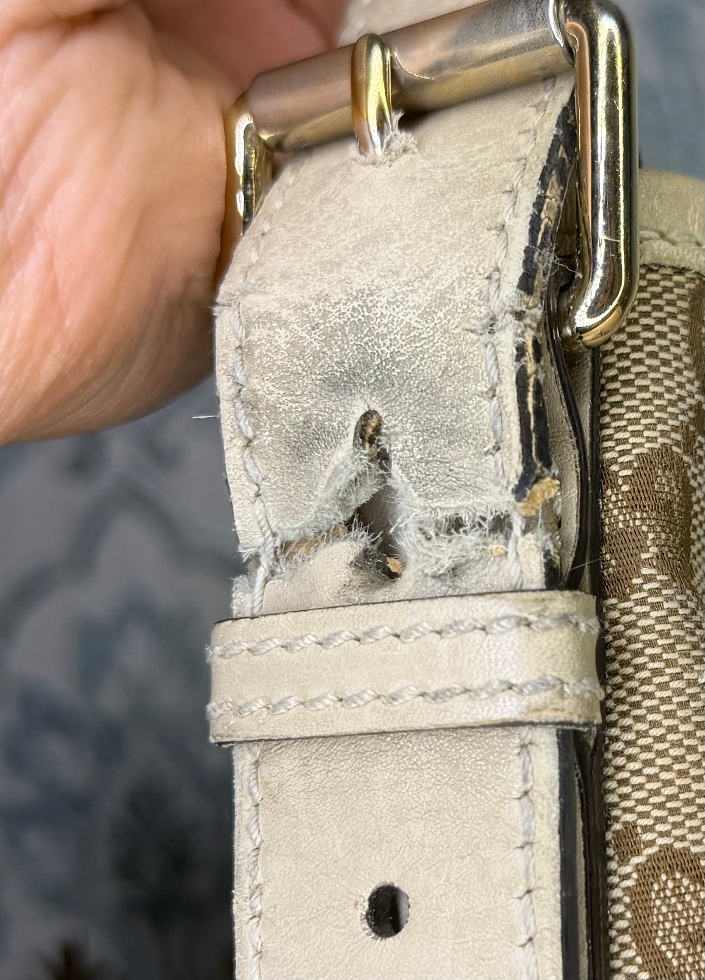 Gucci Canvas GG Beige Crossbody