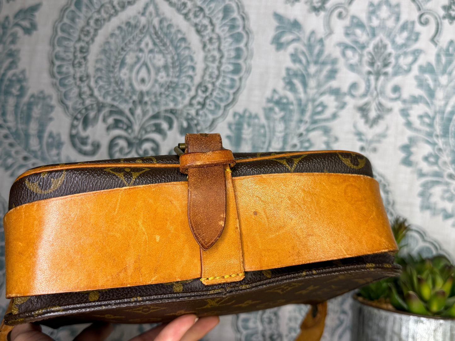 Louis Vuitton Cartouchiere MM