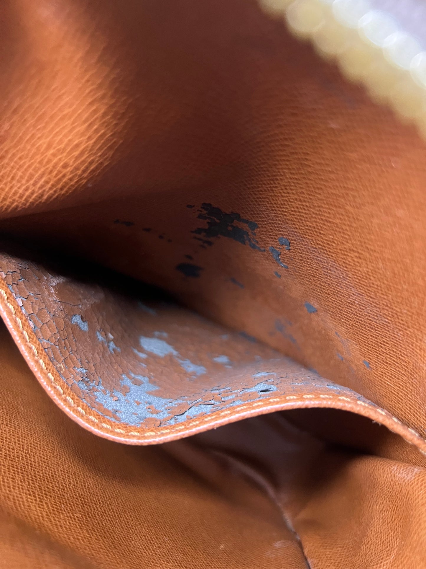 Louis Vuitton Amazon PM