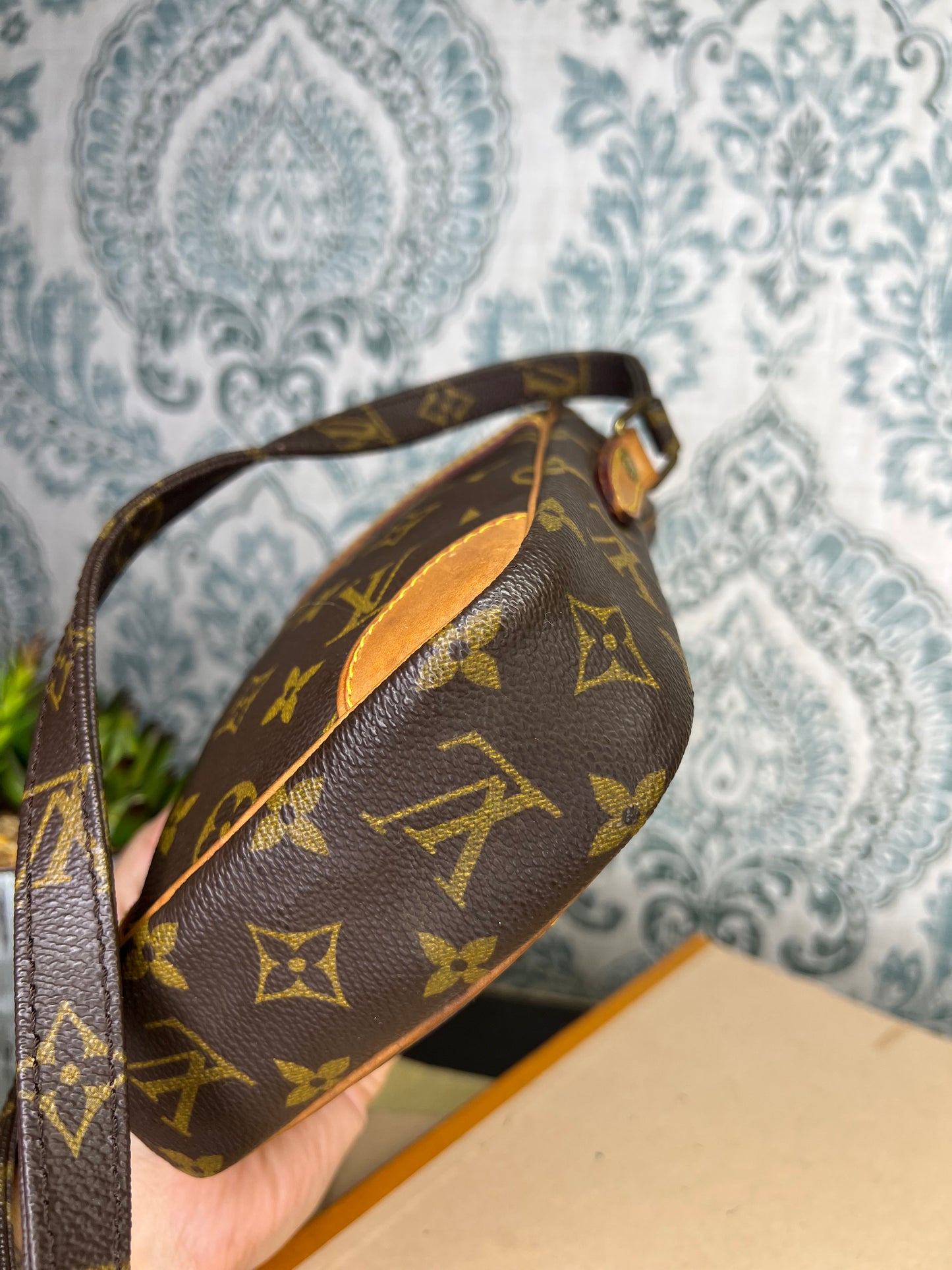 Louis Vuitton Danube PM #1