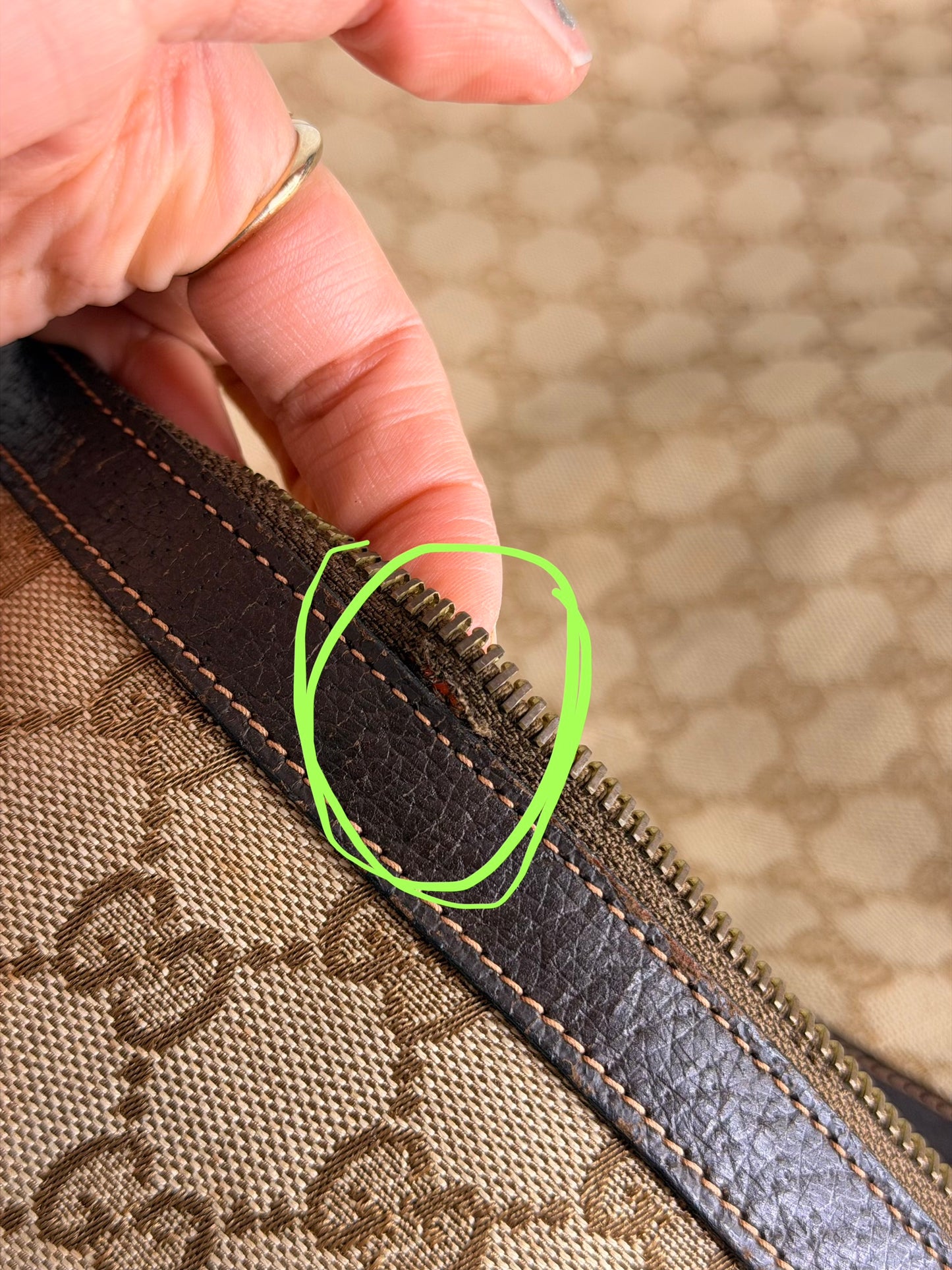 Gucci Garment Bag