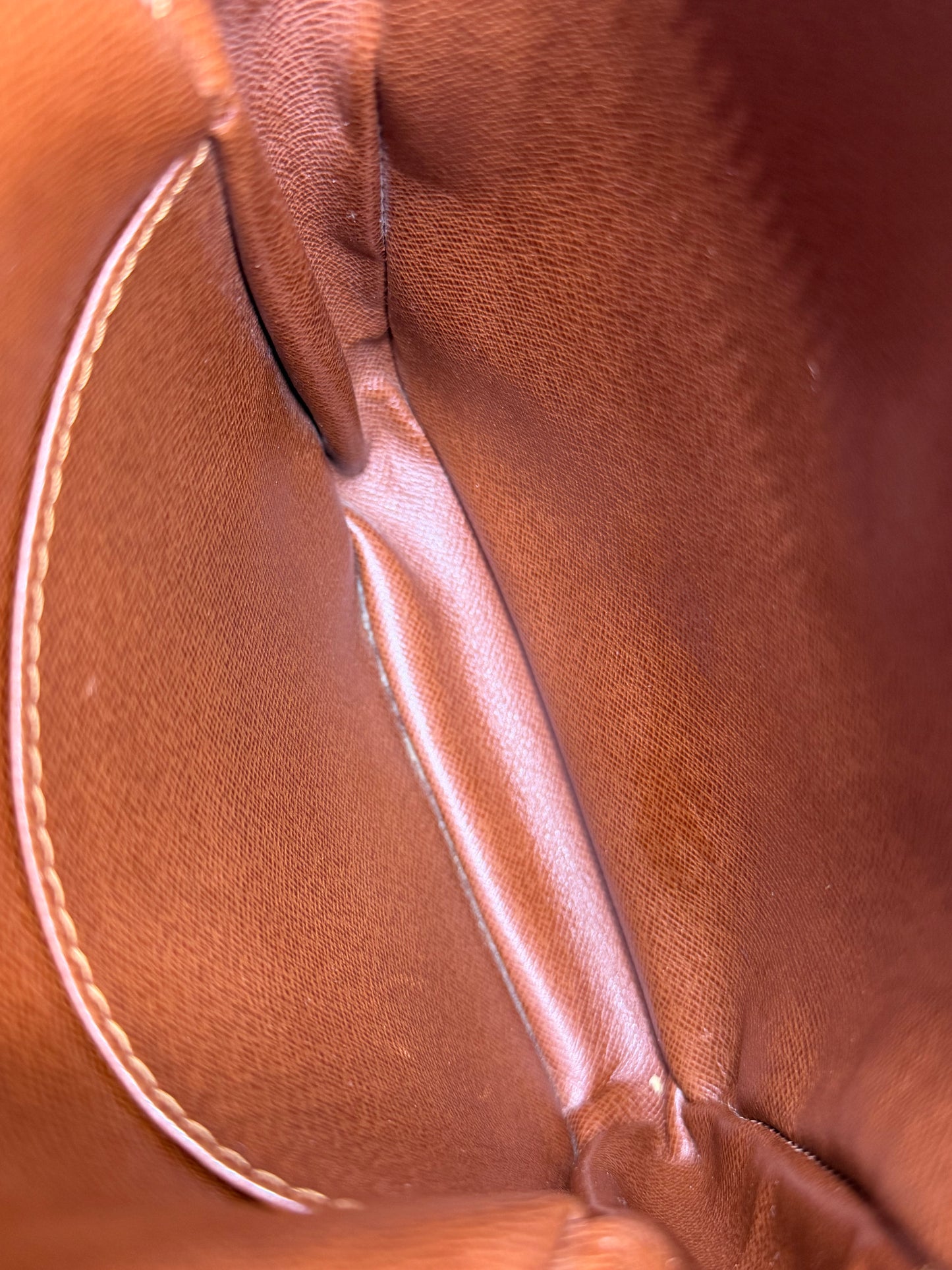 Louis Vuitton Danube PM #2