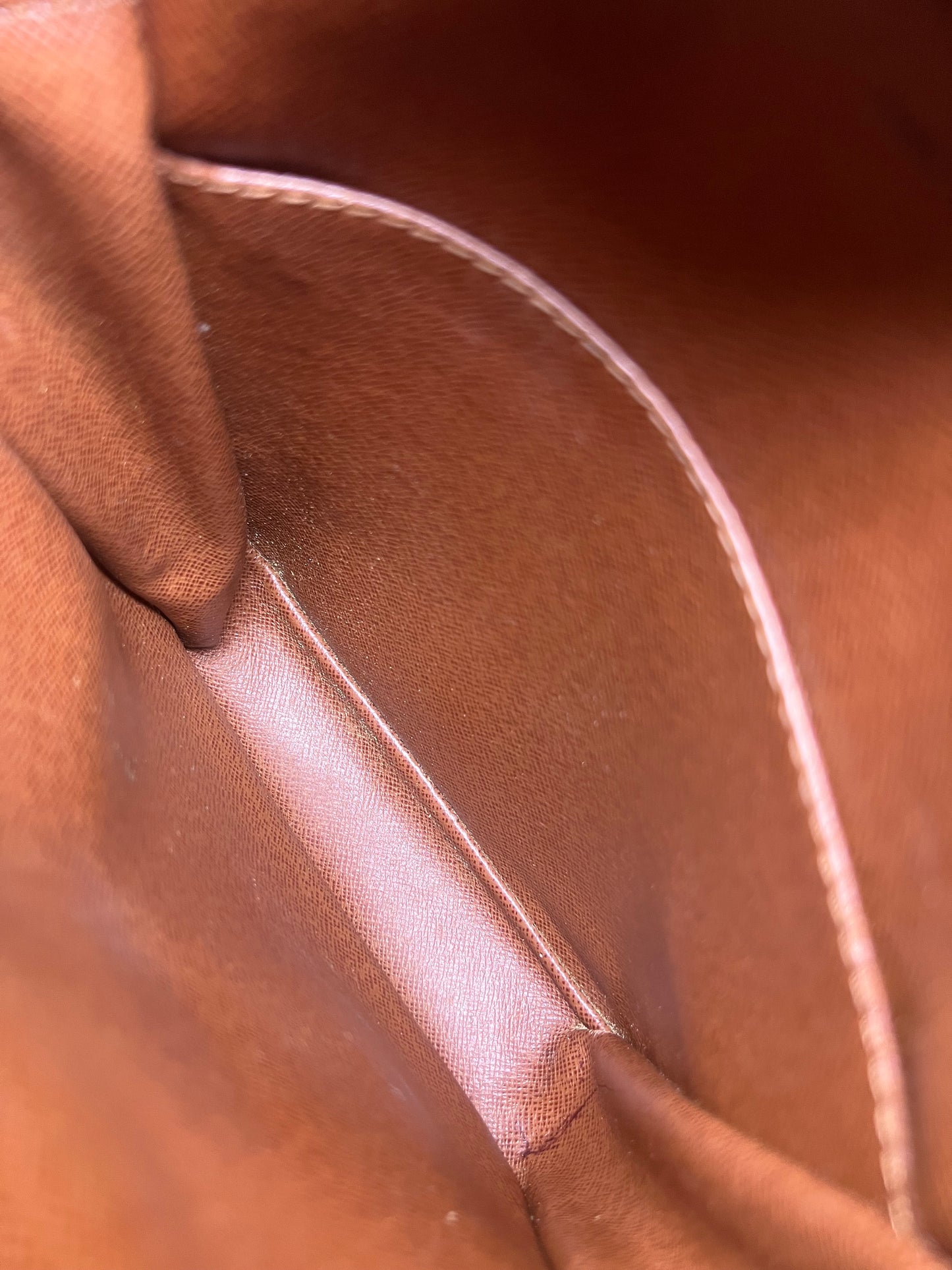 Louis Vuitton Amazon PM