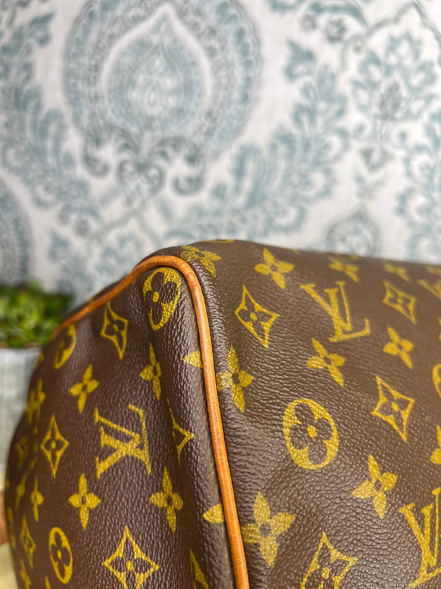 Louis Vuitton Speedy 35