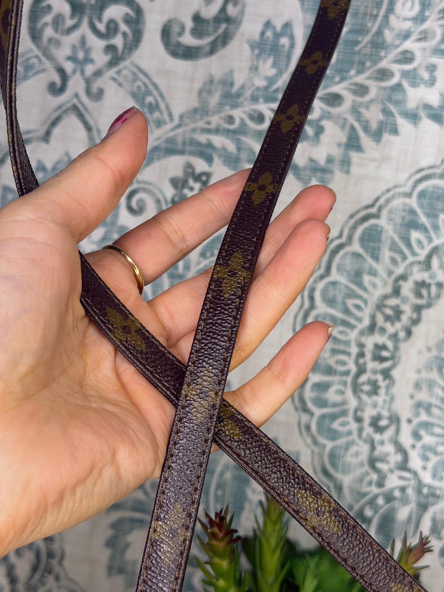 Louis Vuitton Pochette Accessories with Monogram Strap