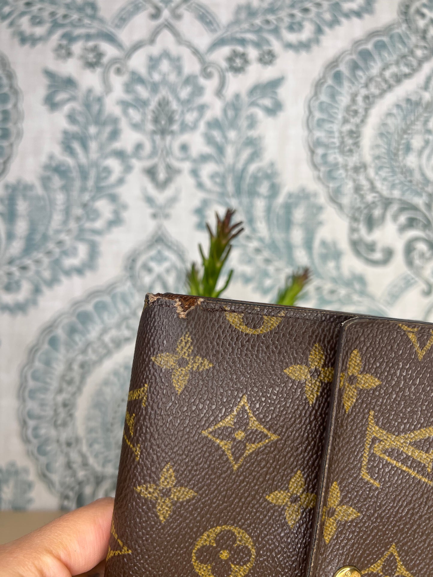 Louis Vuitton Monogram Passport Trifold Wallet #3
