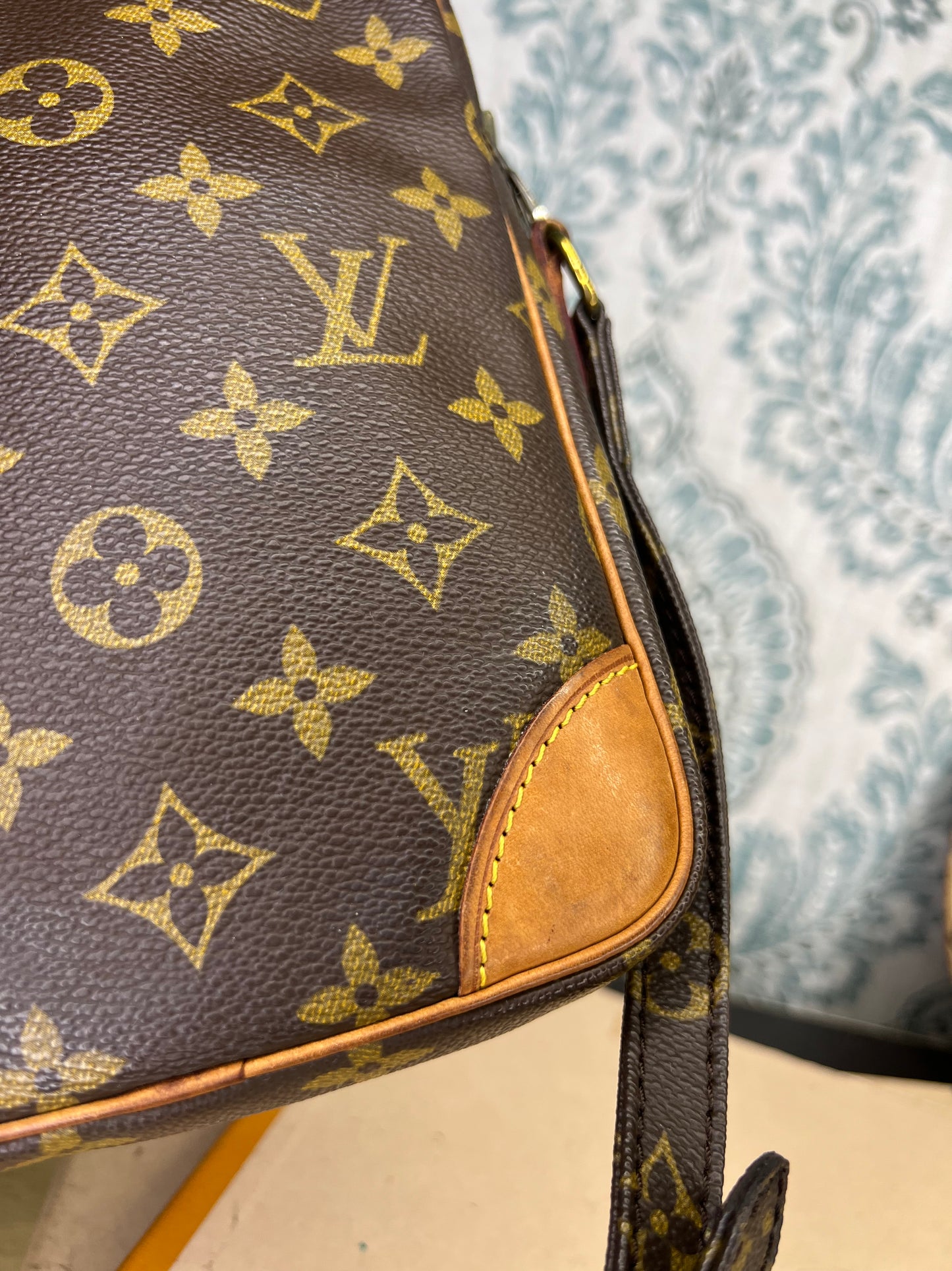 Louis Vuitton Danube PM #1