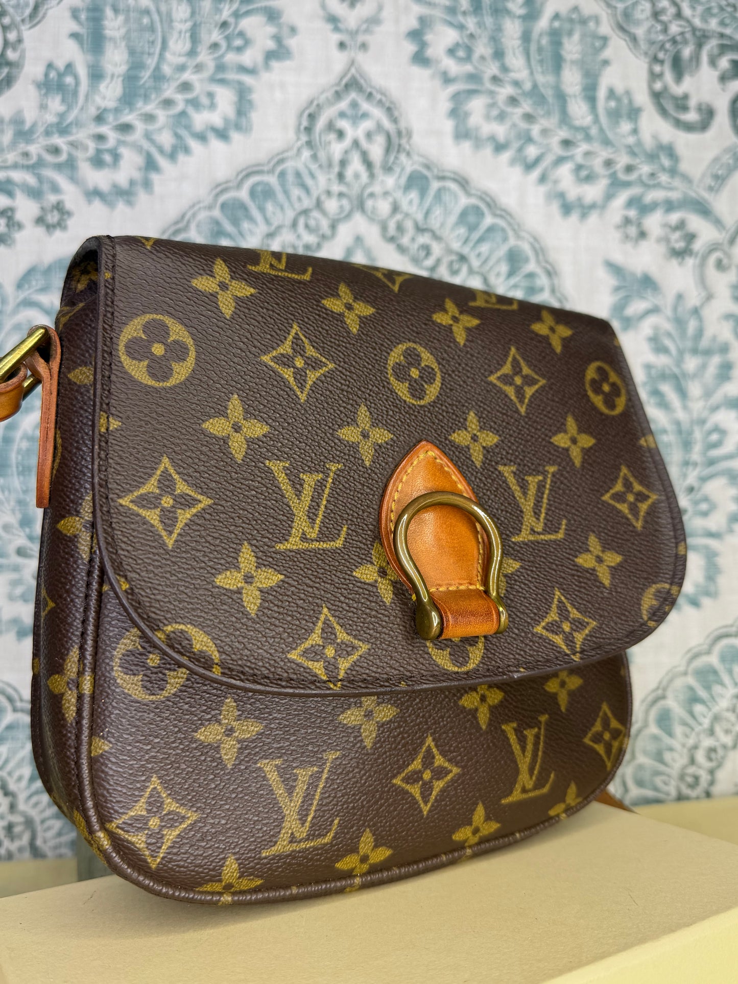 Louis Vuitton Saint Cloud MM