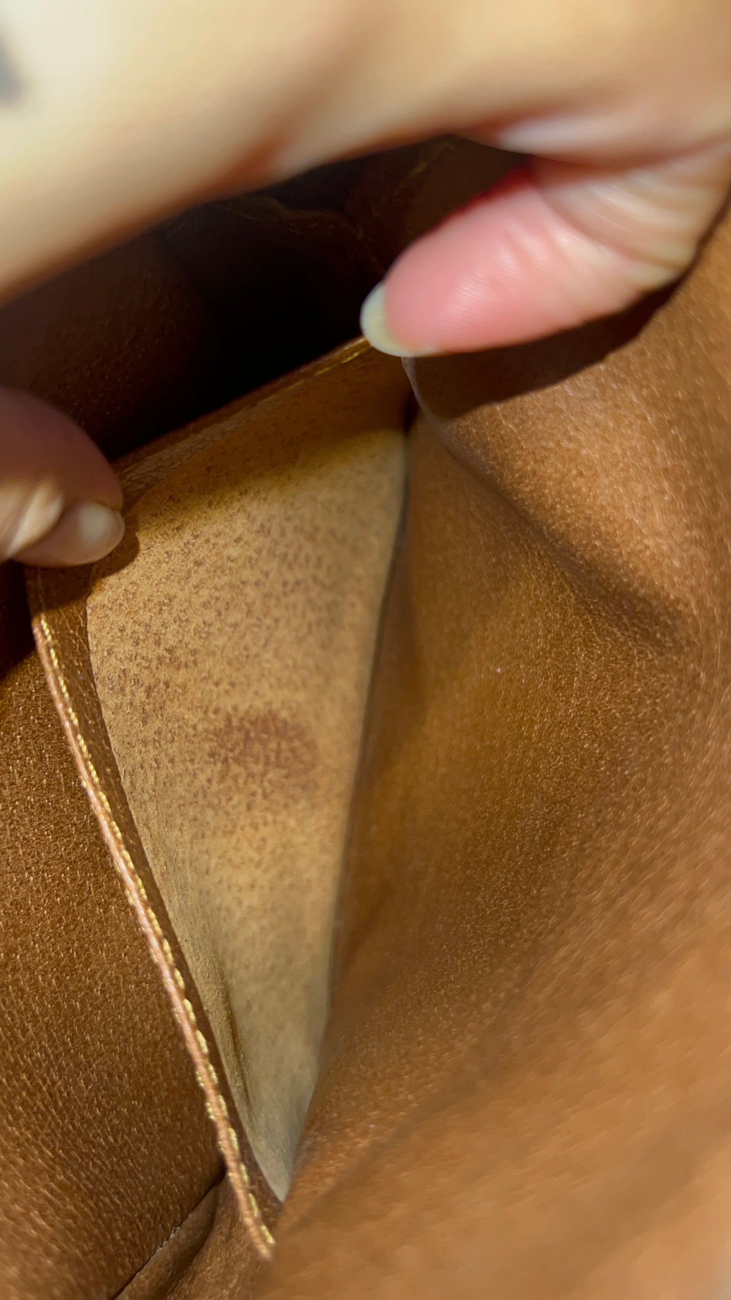 Louis Vuitton Vintage Amazone
