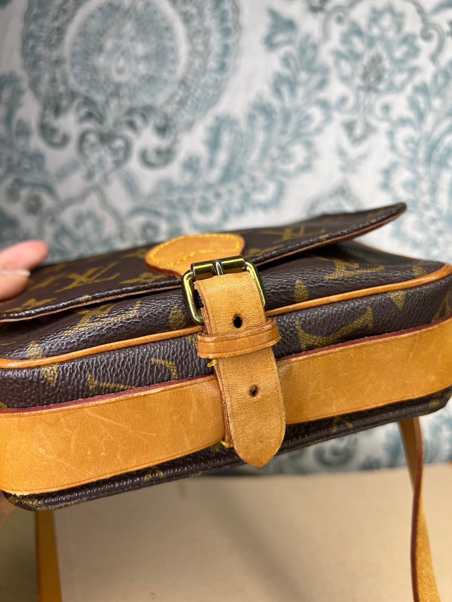 Louis Vuitton Cartouchiere PM