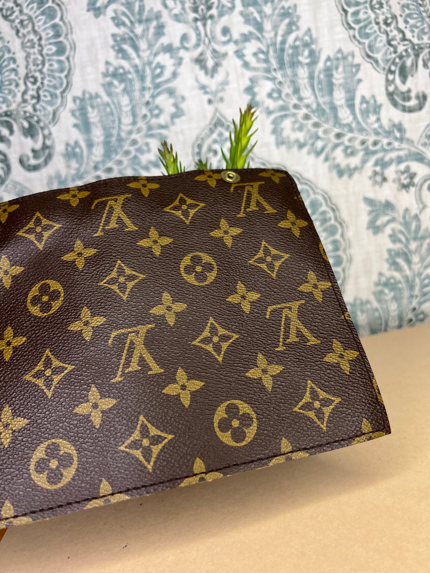Louis Vuitton Randonnee Pouch