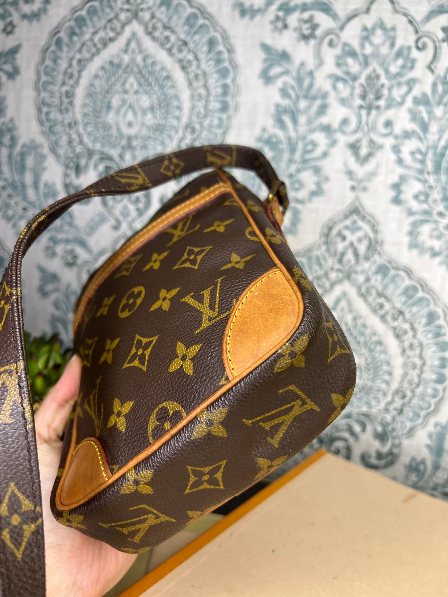 Louis Vuitton Danube PM #1