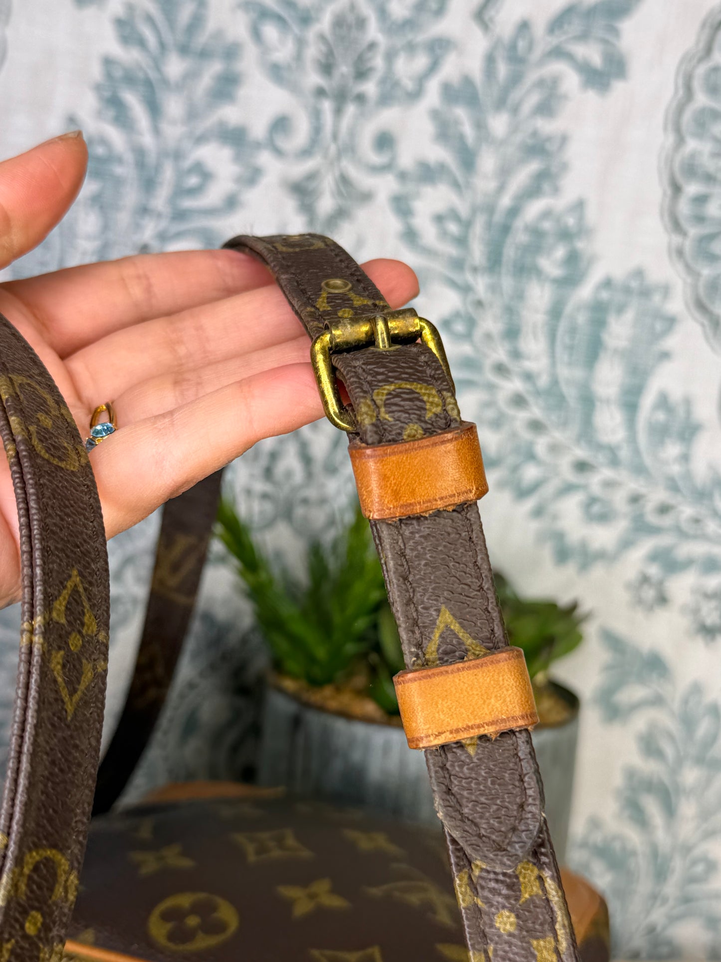 Louis Vuitton Amazon PM #1