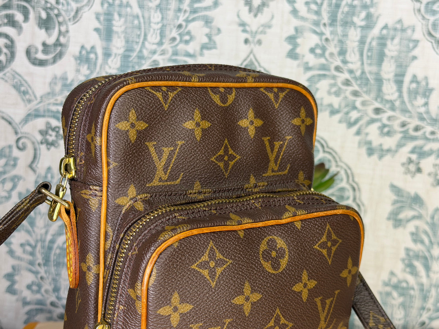 Louis Vuitton Amazon PM #2