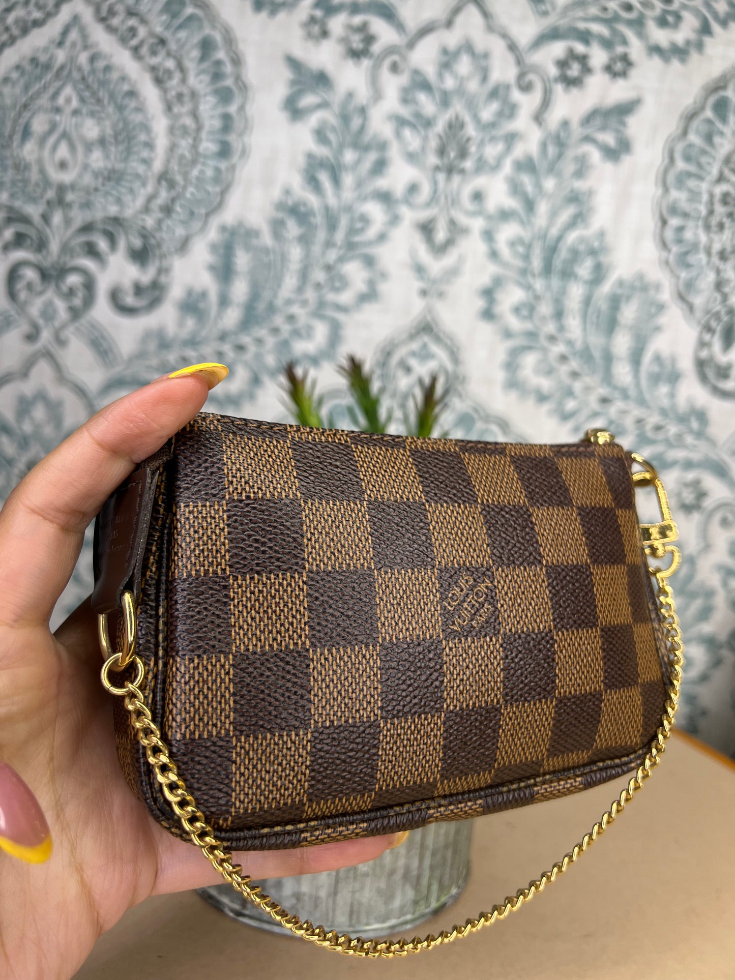 Louis Vuitton Damier Ebene Trunks & Bags Mini Pochette