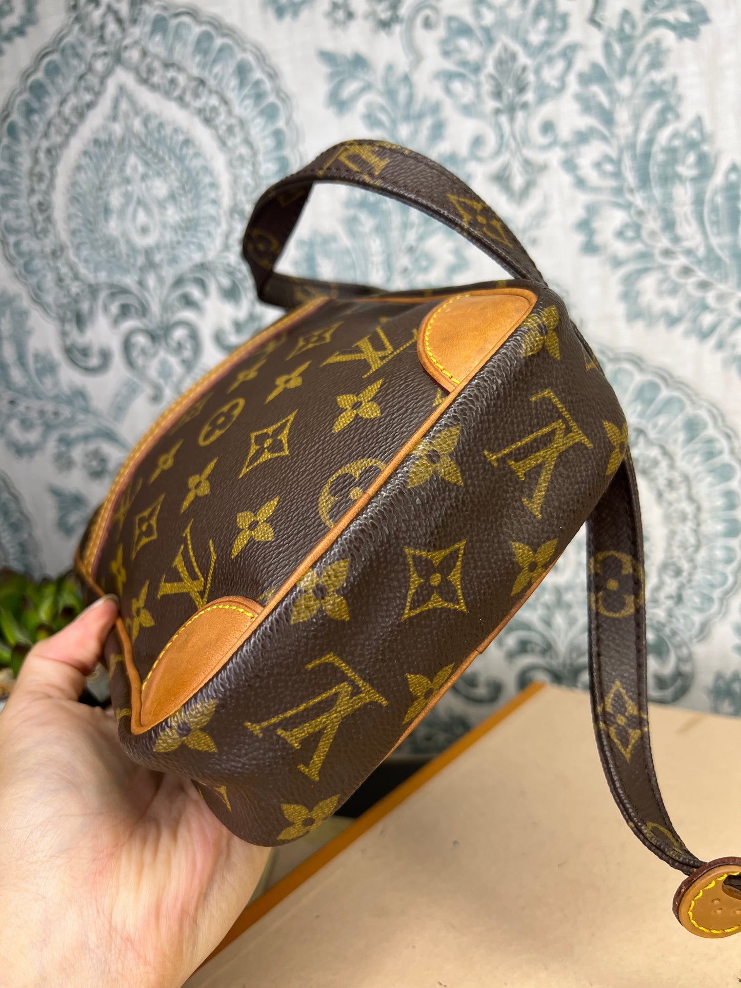 Louis Vuitton Danube PM #1