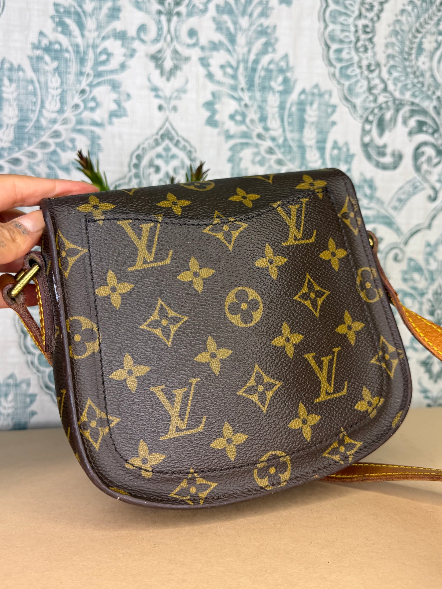 Louis Vuitton Saint Cloud PM