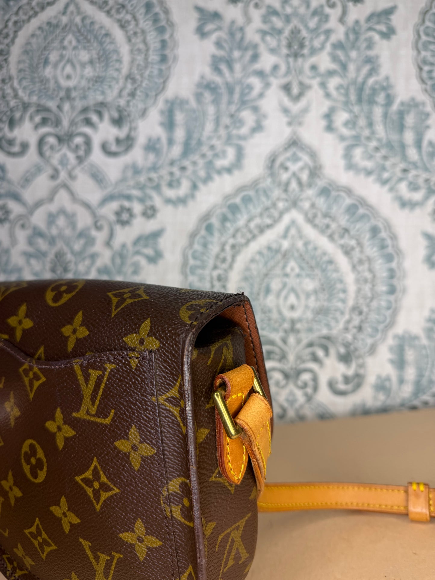 Louis Vuitton Saint Cloud PM