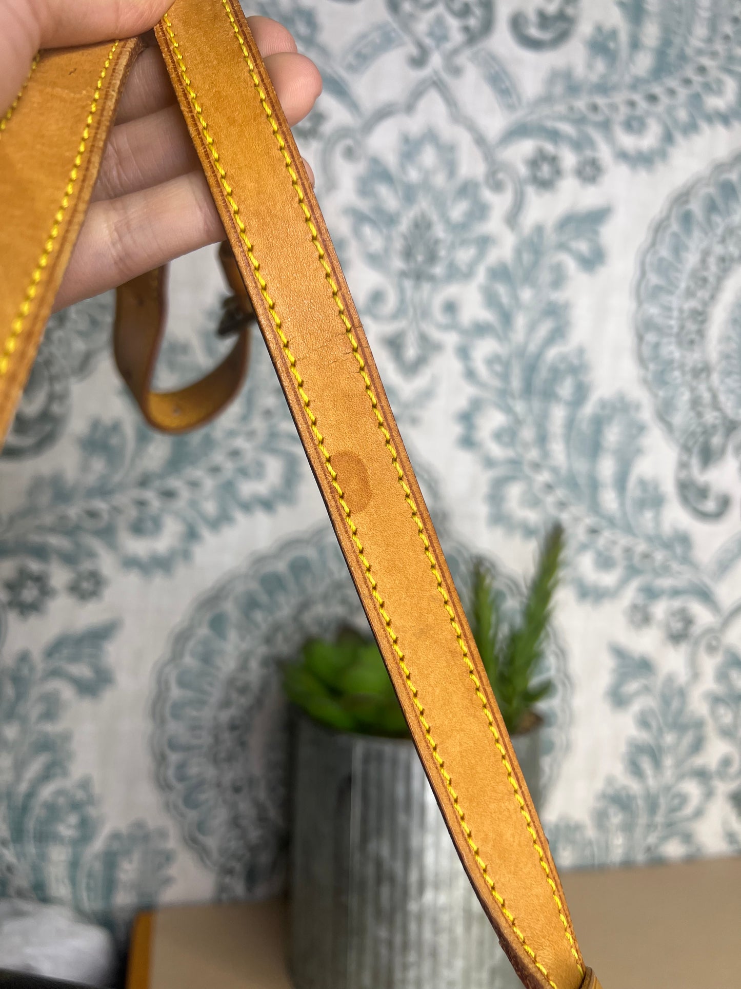 Louis Vuitton Musette Tango - Long Strap