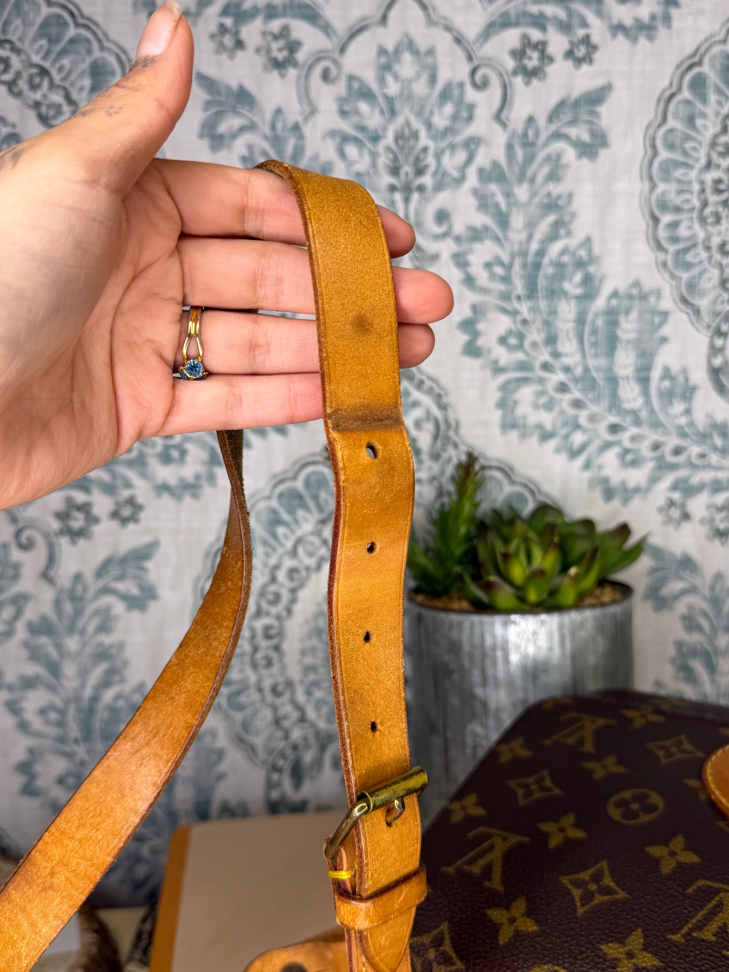 Louis Vuitton Cartouchiere MM
