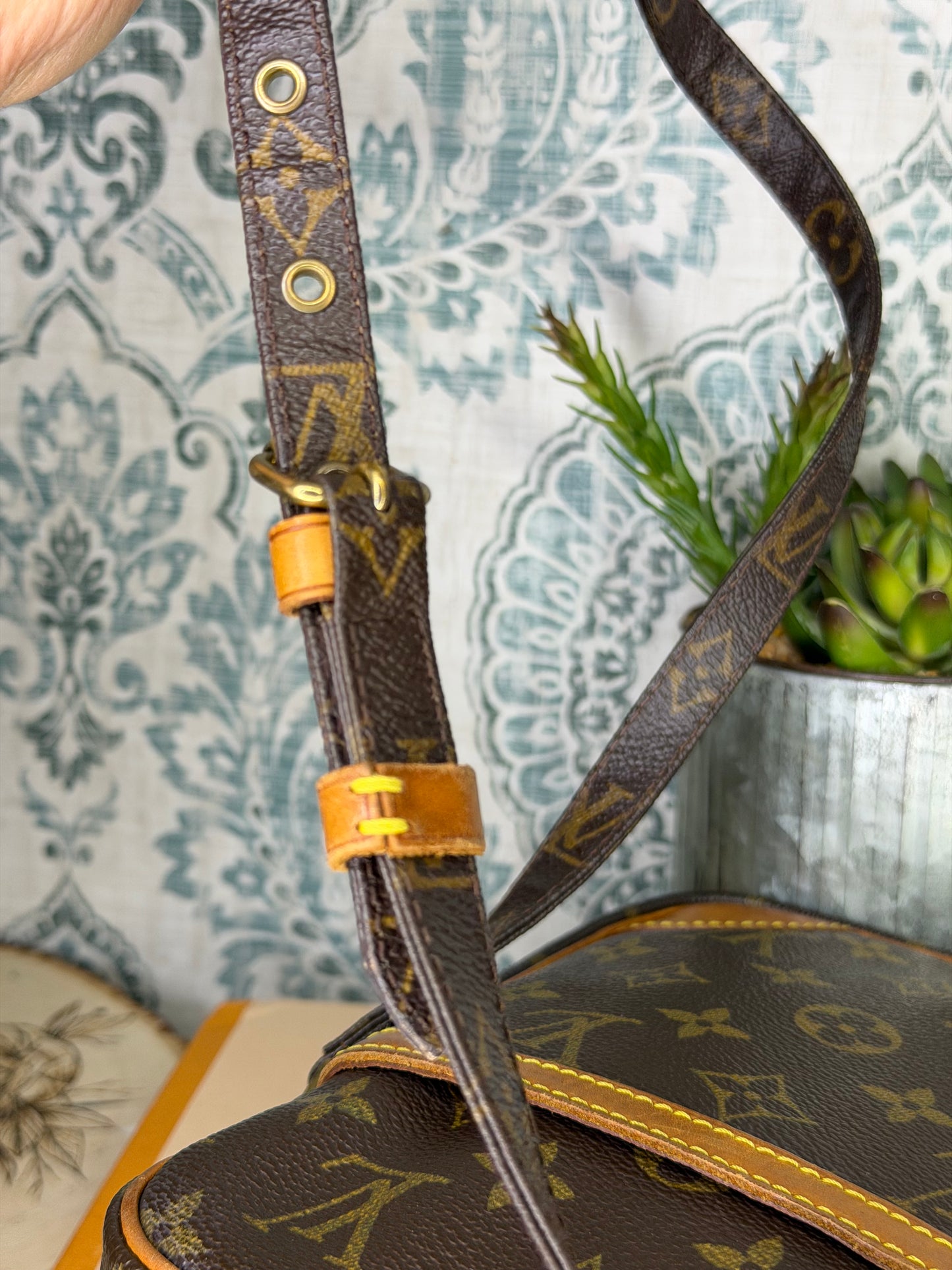 Louis Vuitton Danube PM #1