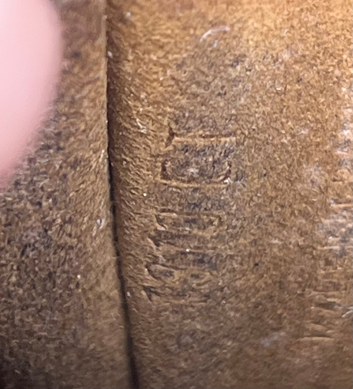 Louis Vuitton Glasses Case