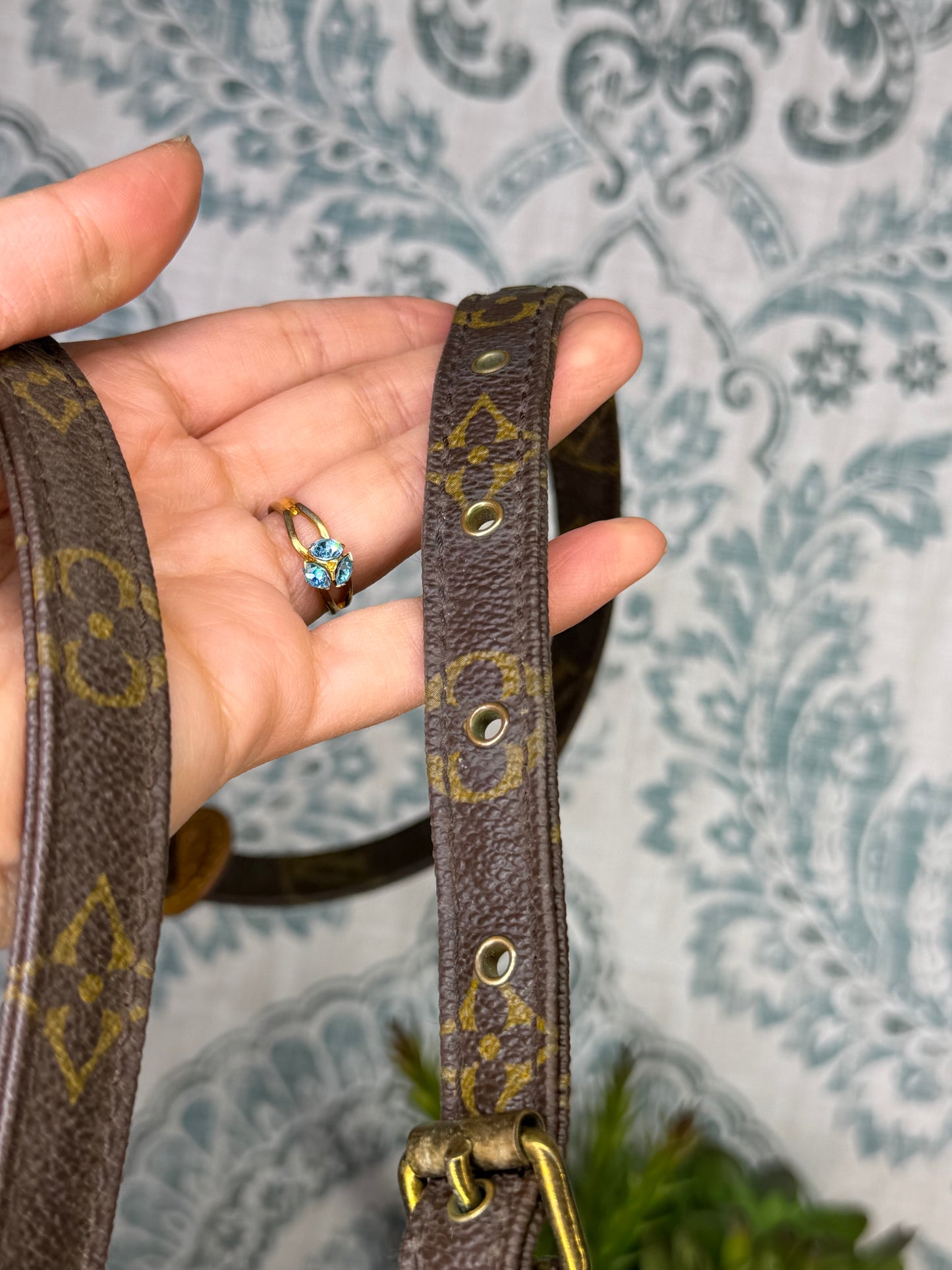 Louis Vuitton Amazon PM #1