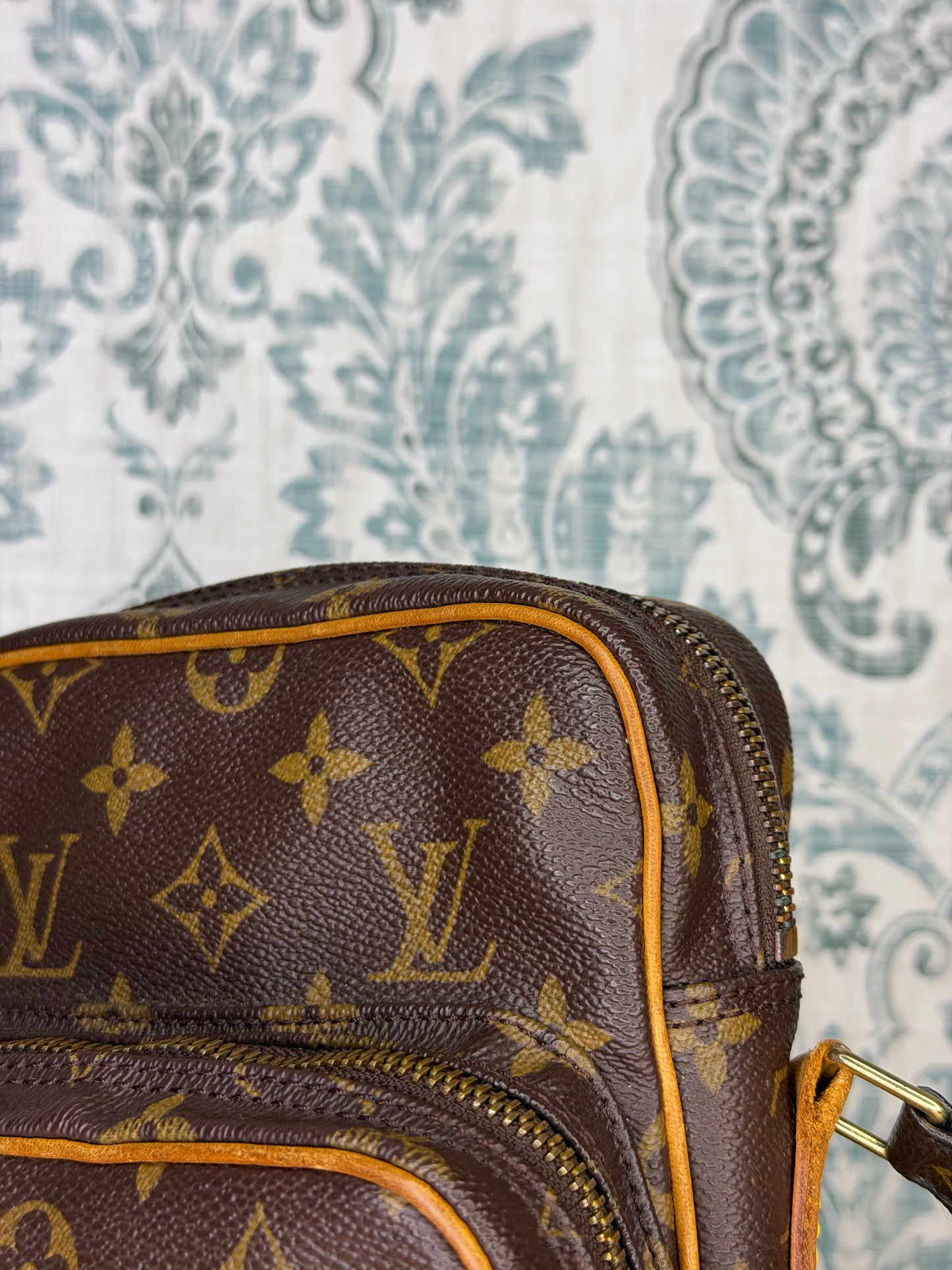 Louis Vuitton Amazon PM #2