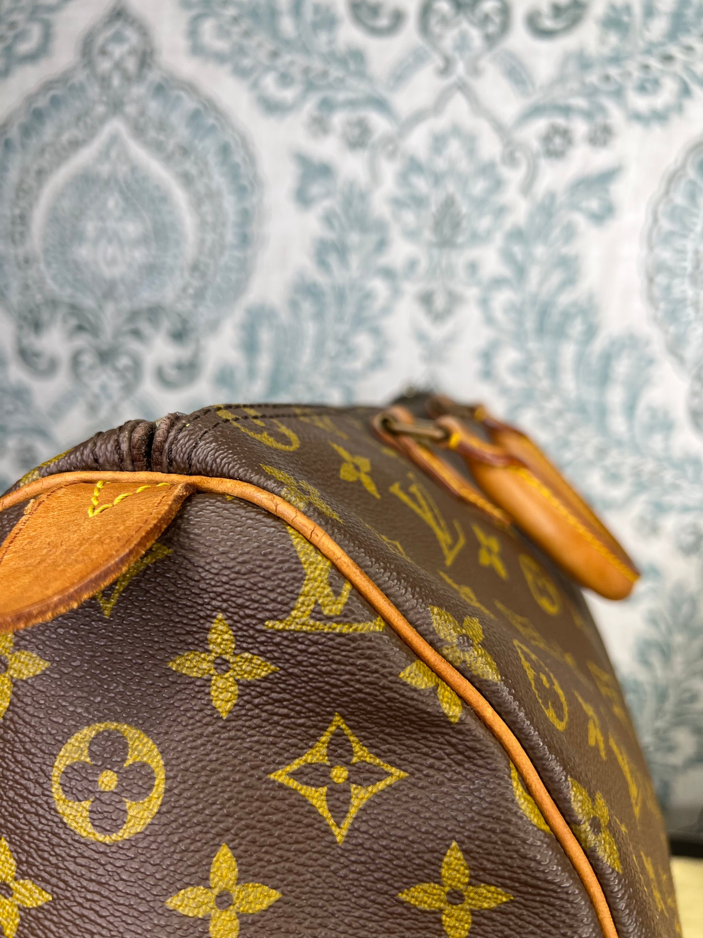 Louis Vuitton Speedy 35
