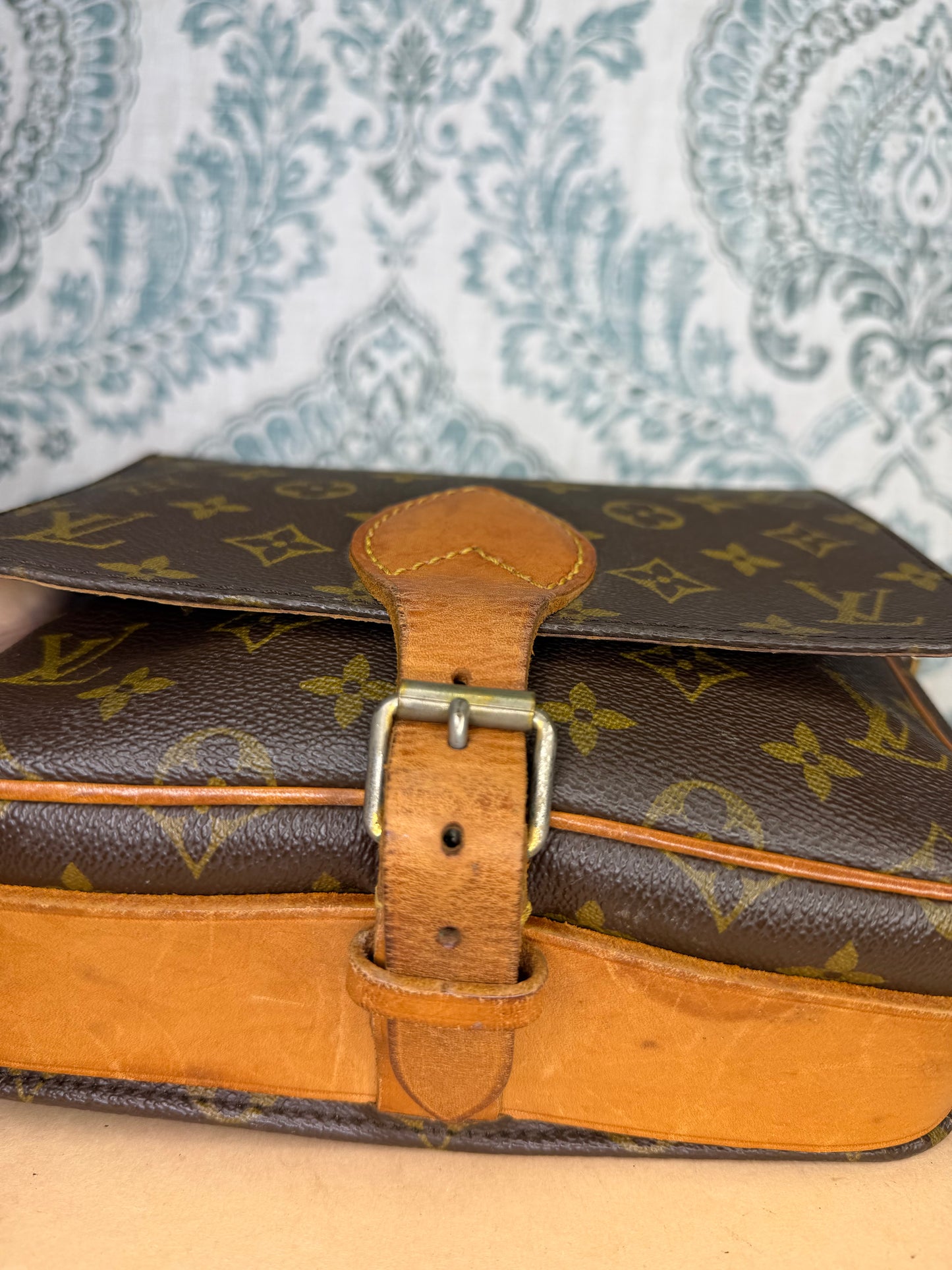 Louis Vuitton Cartouchiere MM