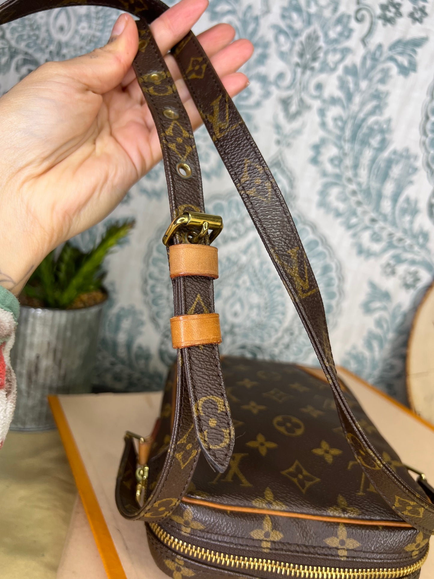 Louis Vuitton Danube PM #1