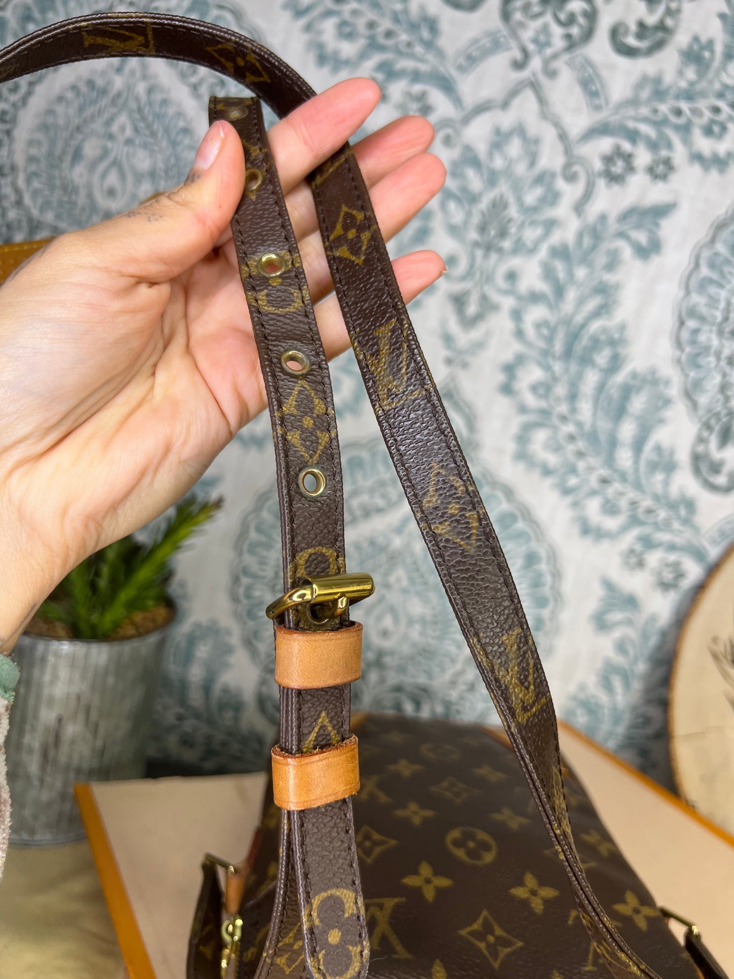 Louis Vuitton Danube PM #1