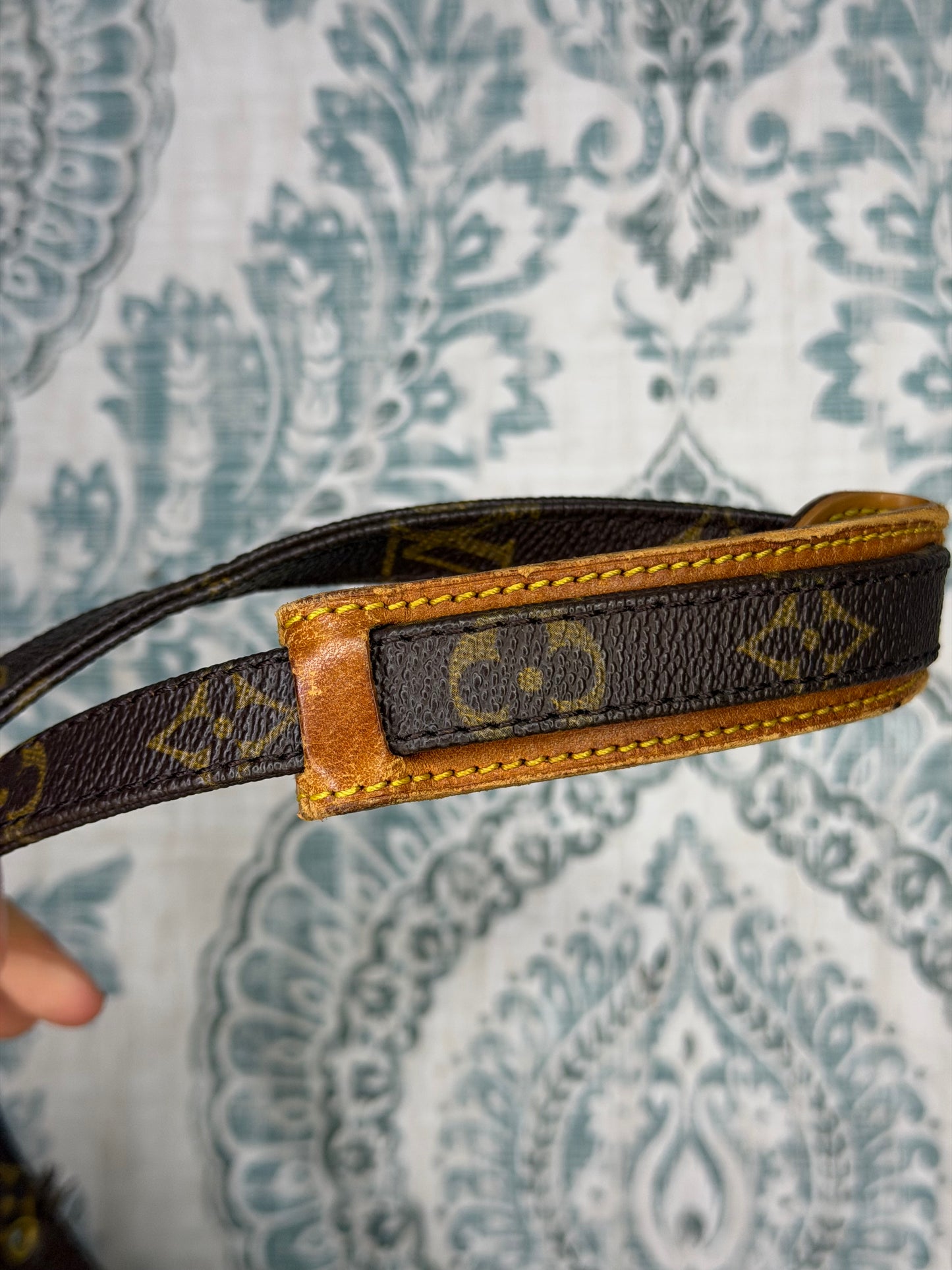 Louis Vuitton Amazon PM