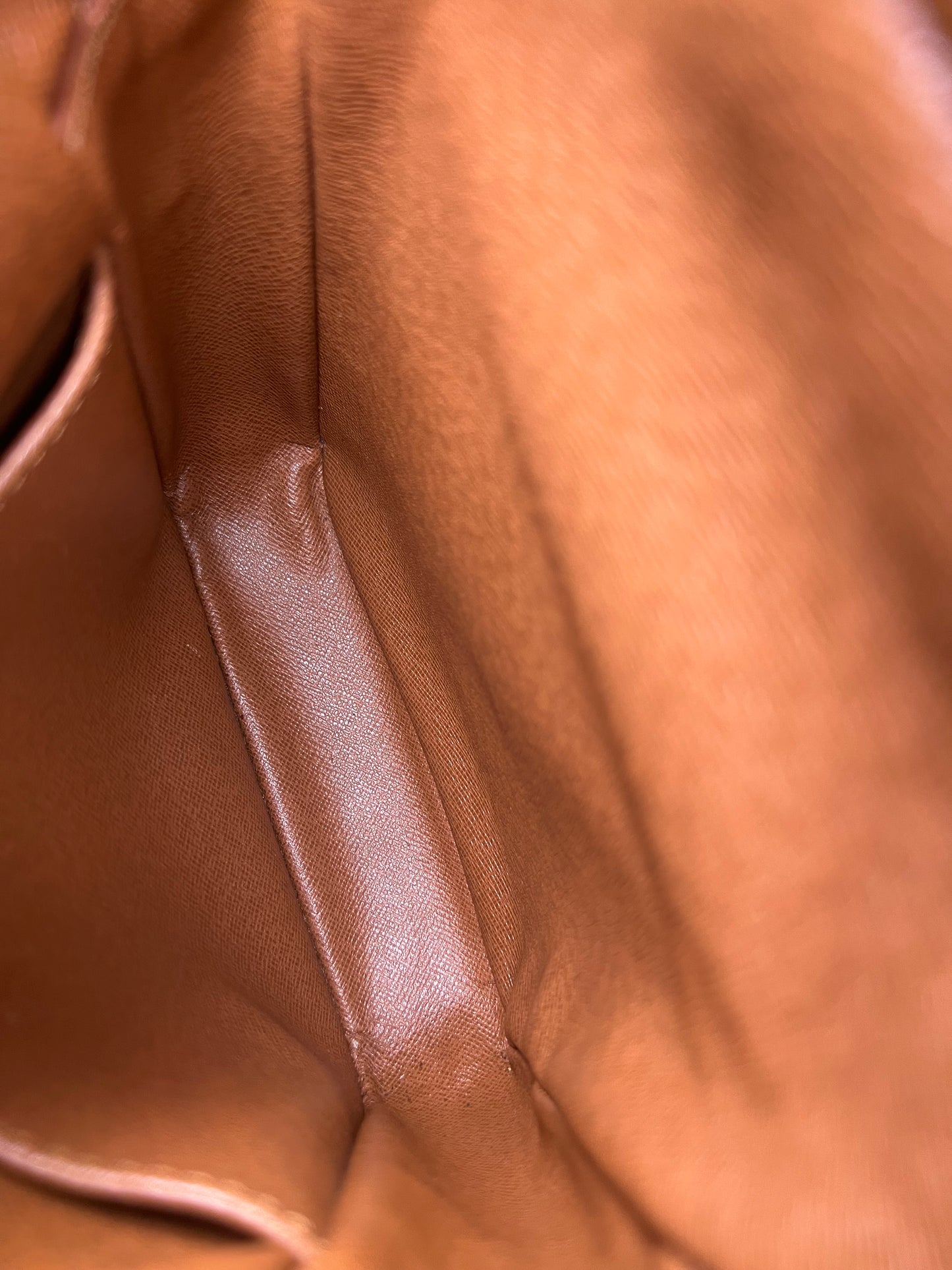 Louis Vuitton Amazon PM