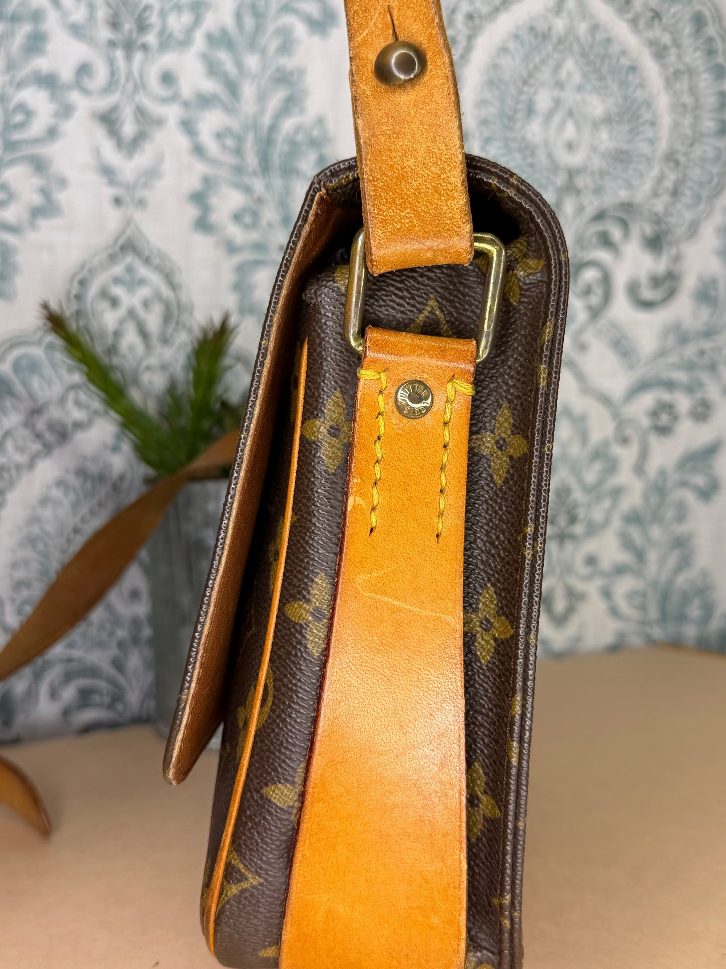 Louis Vuitton Cartouchiere MM