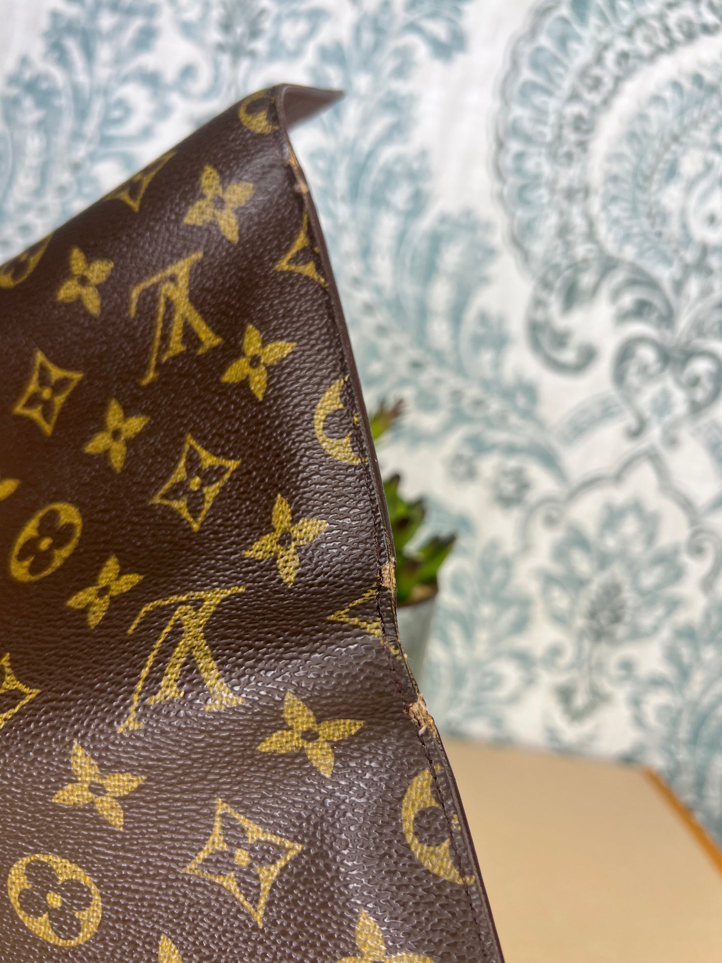Louis Vuitton Monogram Passport Trifold Wallet #4