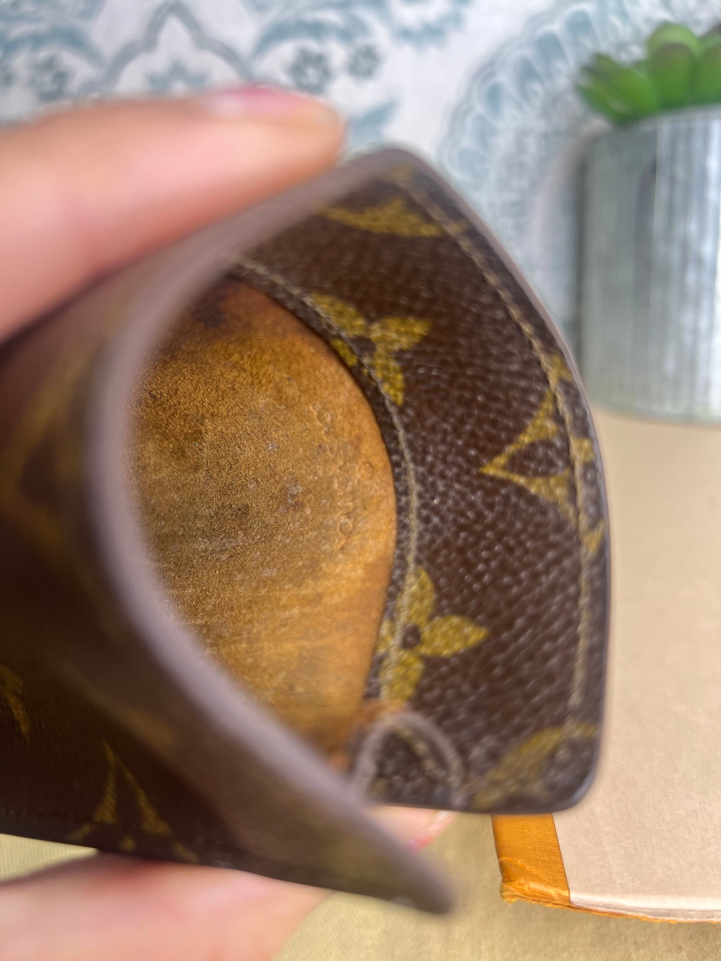 Louis Vuitton Glasses Case