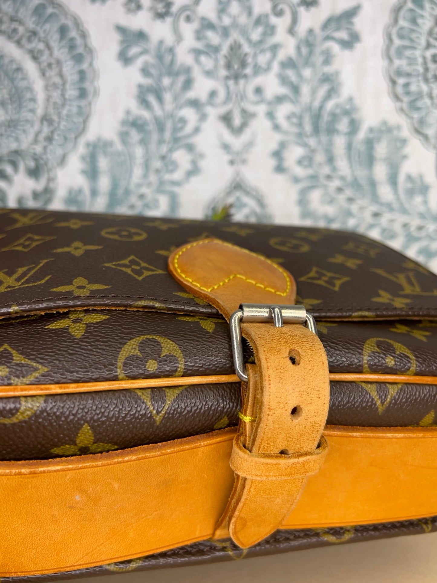 Louis Vuitton Cartouchiere MM