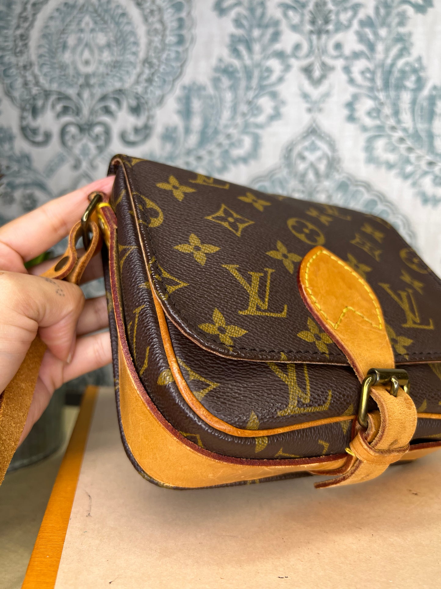 Louis Vuitton Cartouchiere PM
