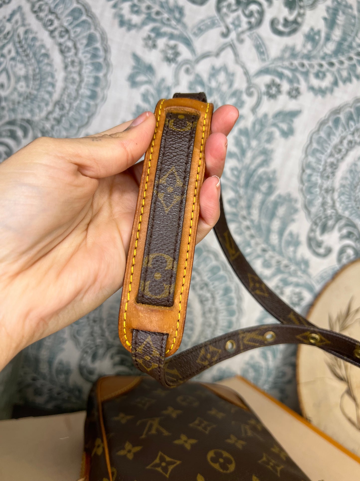 Louis Vuitton Danube PM #1