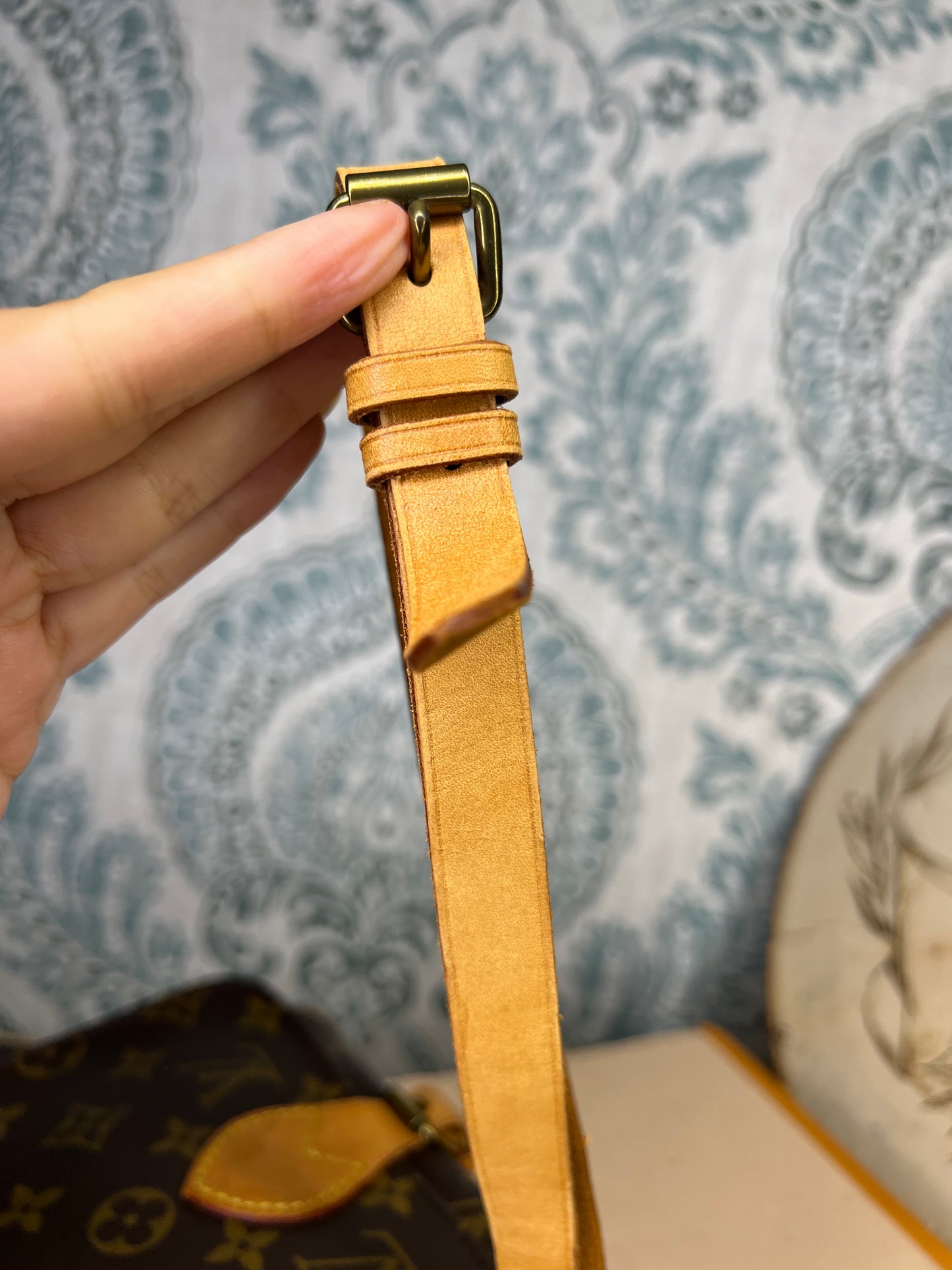 Louis Vuitton Cartouchiere PM