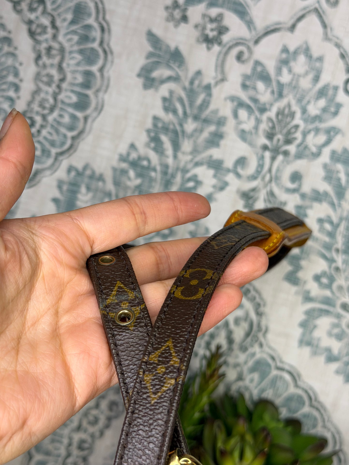 Louis Vuitton Amazon PM #2
